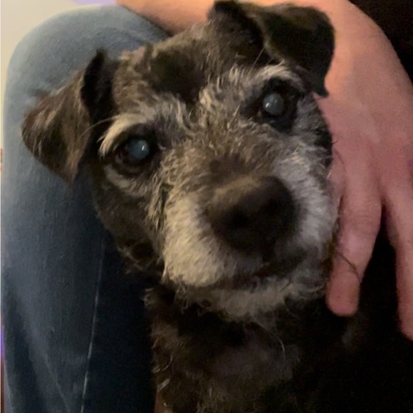 Meet your Posher, C - Picture 2 of 3